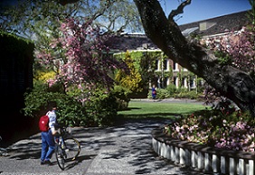 Campus Campus