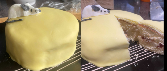 Cheese and Mouse cake