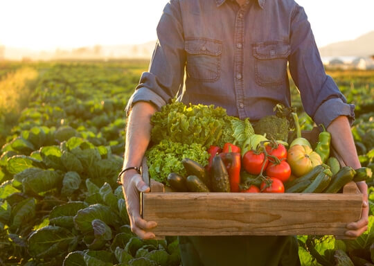 Veg