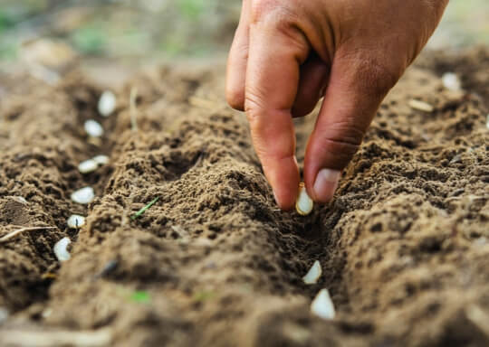 Traceability