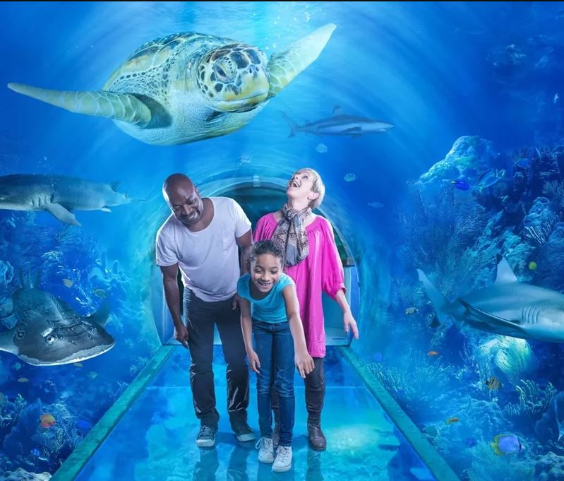 Merlin Entertainments Sea Life Birmingham Image