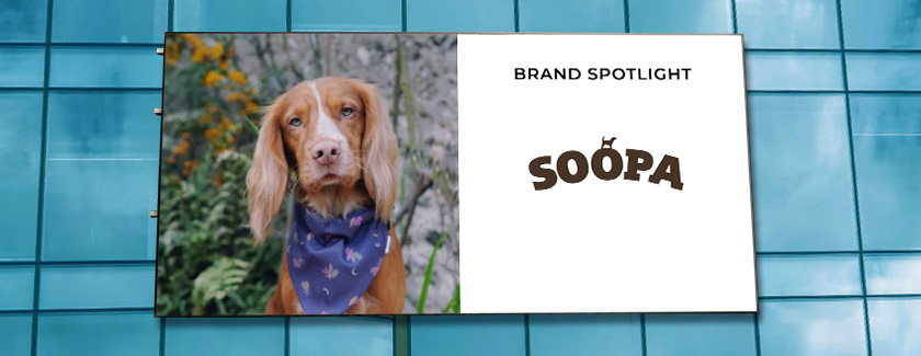 Soopa Pets brand spotlight blog