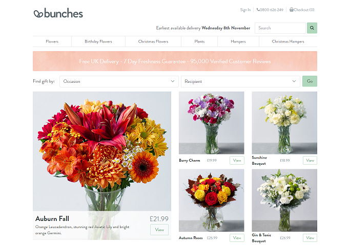 Bunches' Homepage Screenshot