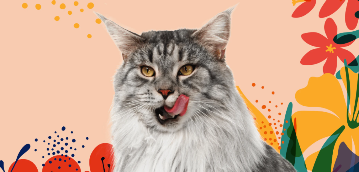 Pet Supermarket Homepage