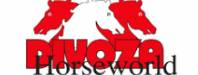 Divoza Horseworld Logo