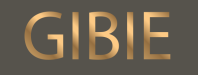 GIBIE Logo