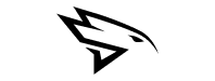 Duelhawk Logo