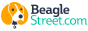 Beagle Street Life Insurance logo
