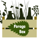 Forage Box Logo